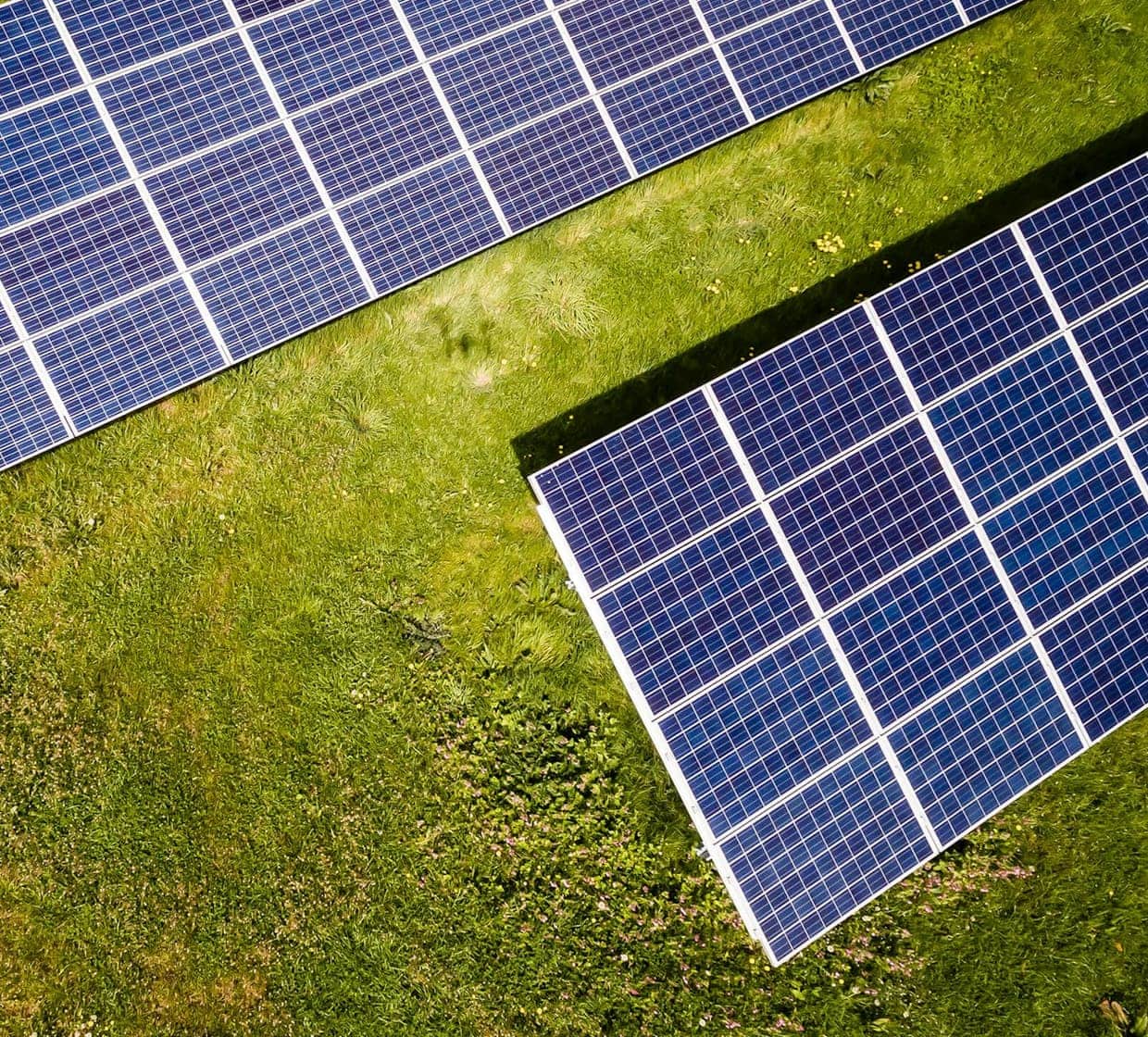 A ground-mounted solar array seen from above